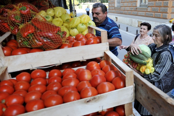 Poljoprivreda BiH između tržišta i proizvodnje za vlastite potrebe