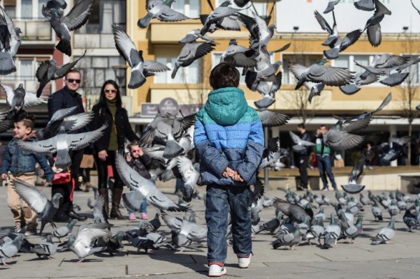 Kosovska sindikalna bijeda