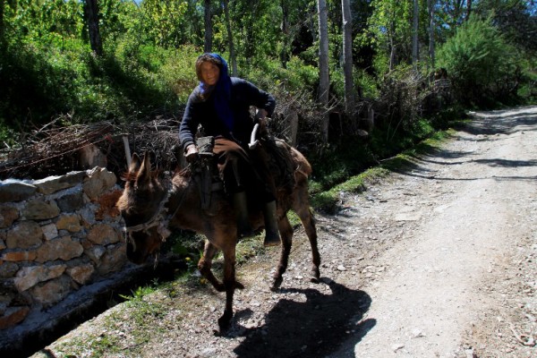 “Velika Bugarska” u izbjeglištvu