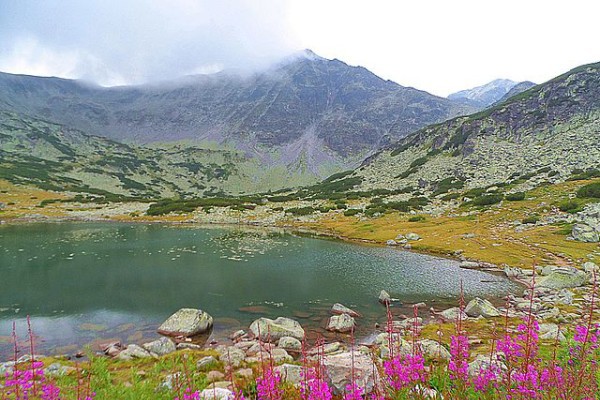 Toponimska rekonkvista bugarske desnice