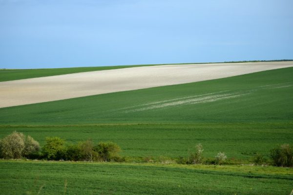 Kako poljoprivreda doprinosi klimatskim promjenama?