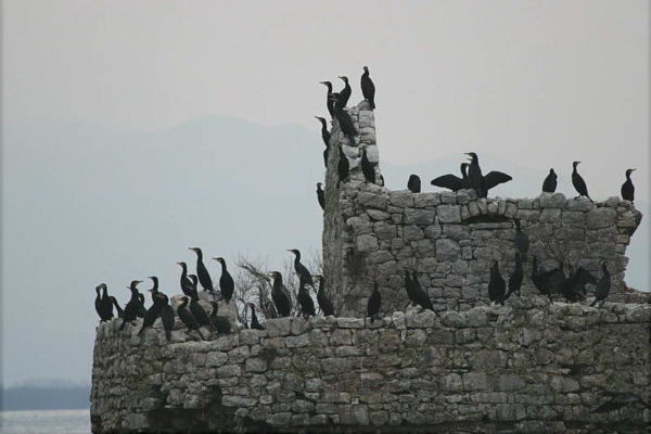 “Ekološka država” Crna Gora