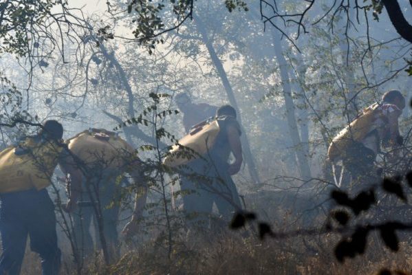 Civilna zaštita i klimatske promjene