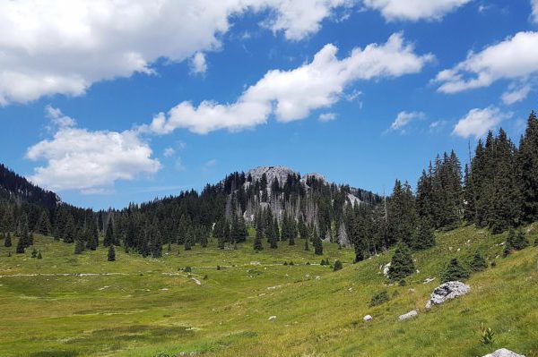 Od sječe šuma do erozije tla i nekontroliranih poplava