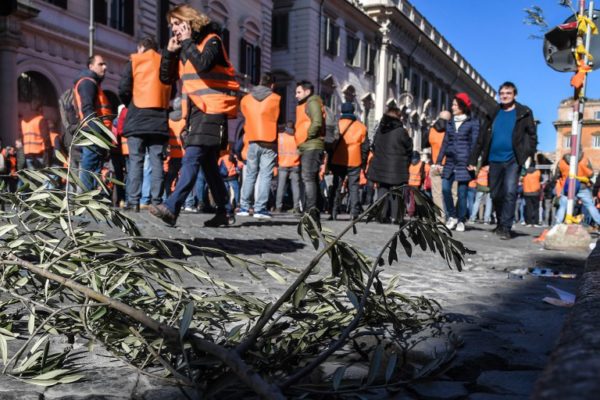 Zbog klimatskih promjena Italija ostaje bez maslinovog ulja