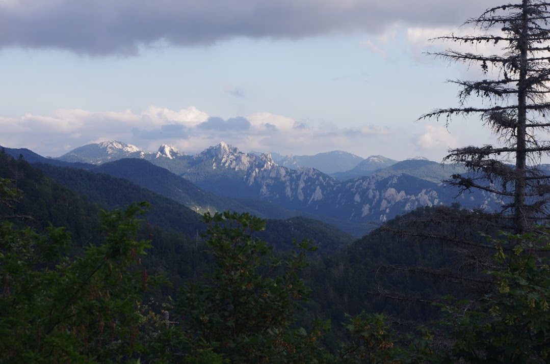 Izumiru jabuka, kruška i šljiva