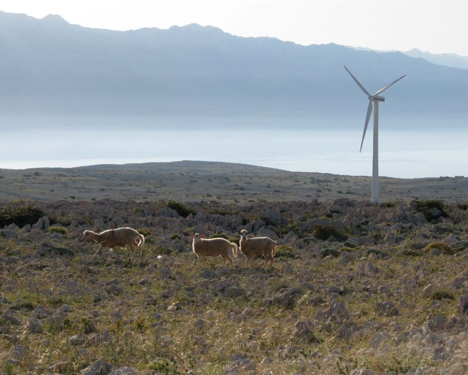 Oči čvrsto zatvorene: “Green New Deal za Hrvatsku”