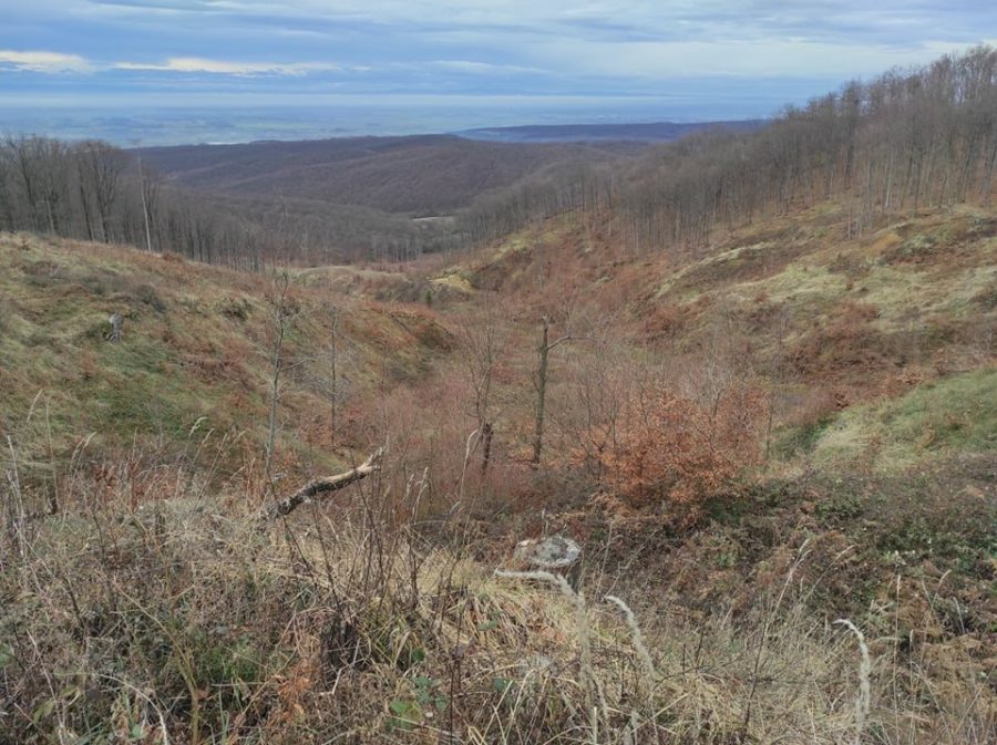 Je li NATURA 2000 mrtvo slovo na papiru?