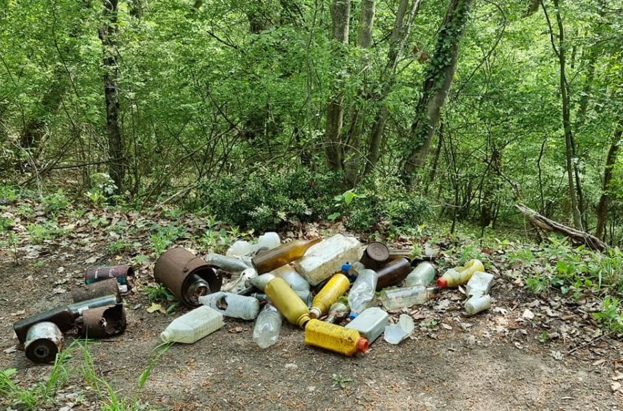 Krčenje i zagađenje Fruške gore