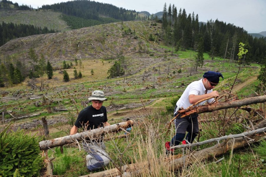 Posljednji čin europskog ponosa: masovno krčenje šuma