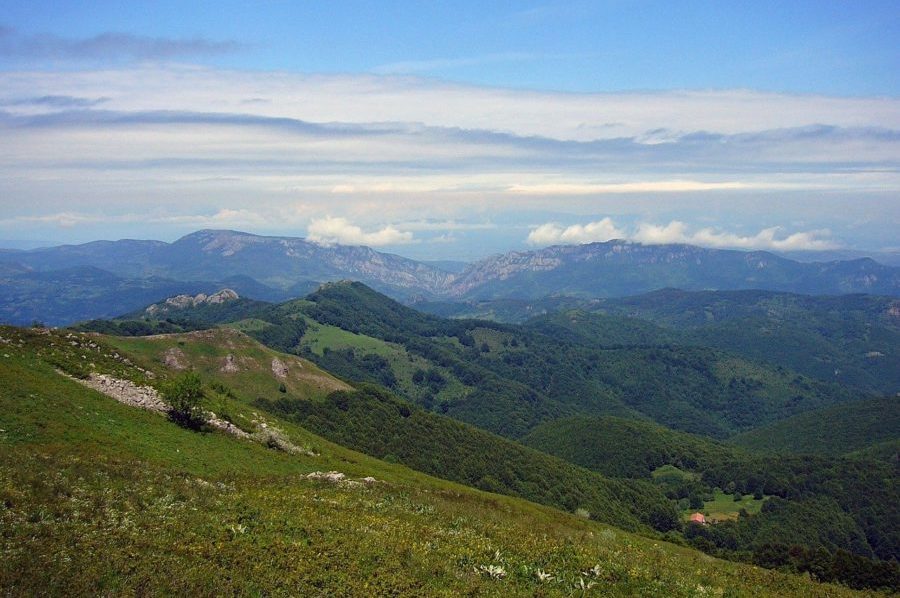 Zemlja koju se lišava šuma