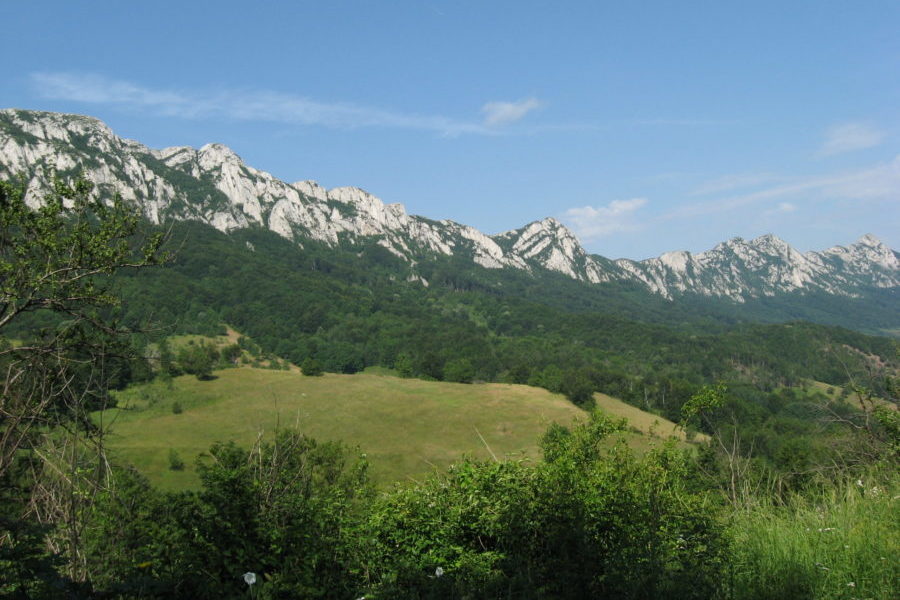 “Zlatna groznica” u najčistijem delu Srbije